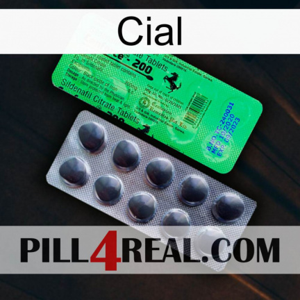 Cial new04